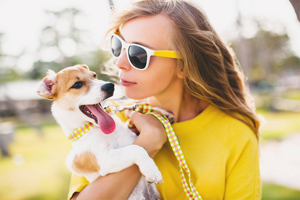 jack russell terrier names