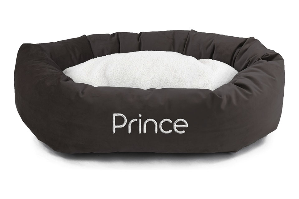 dog bed