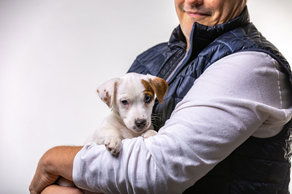 Are Jack Russells Affectionate?