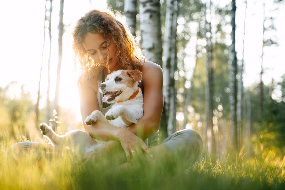 Are Jack Russells Good For First-Time Owners?