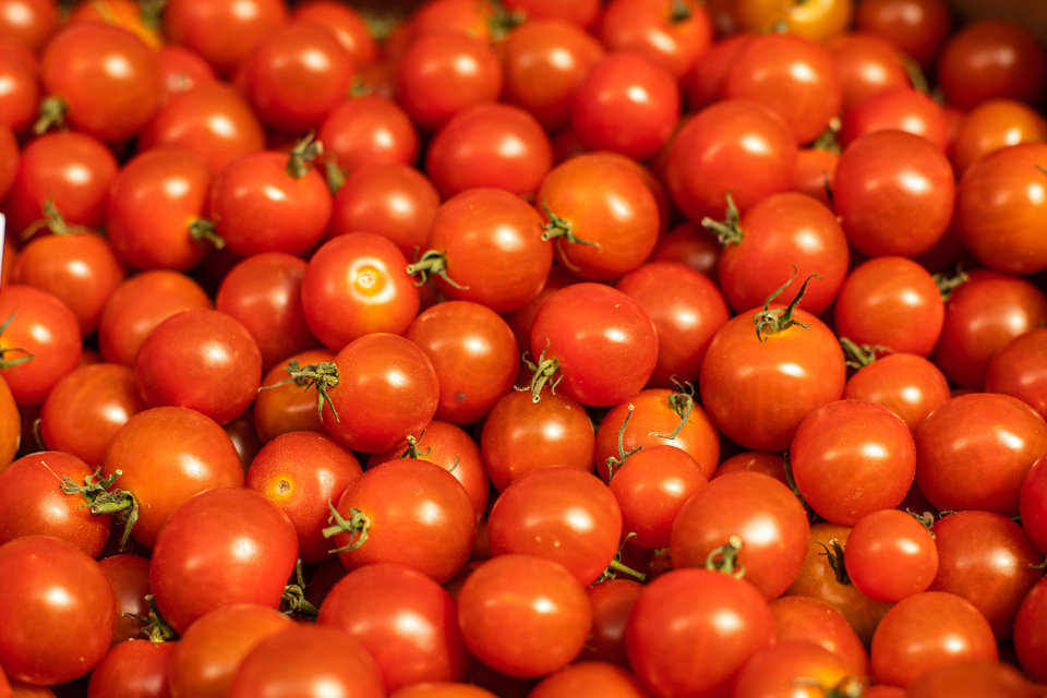 Can Dogs Eat Cherry Tomatoes?