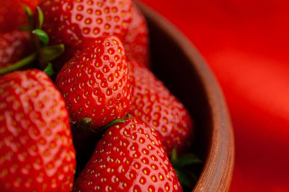 Can Dogs Eat Strawberry Tops?